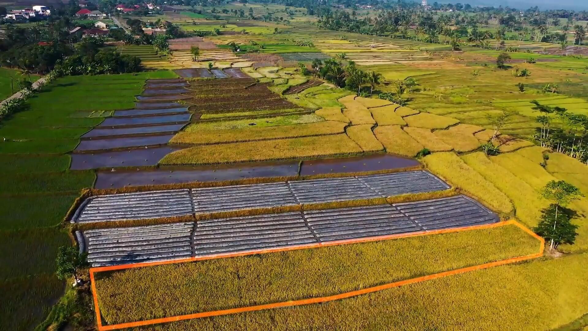 达芬奇预设：自动跟踪轮廓描边标注划重点高亮显示工具效果插件预设（13295）