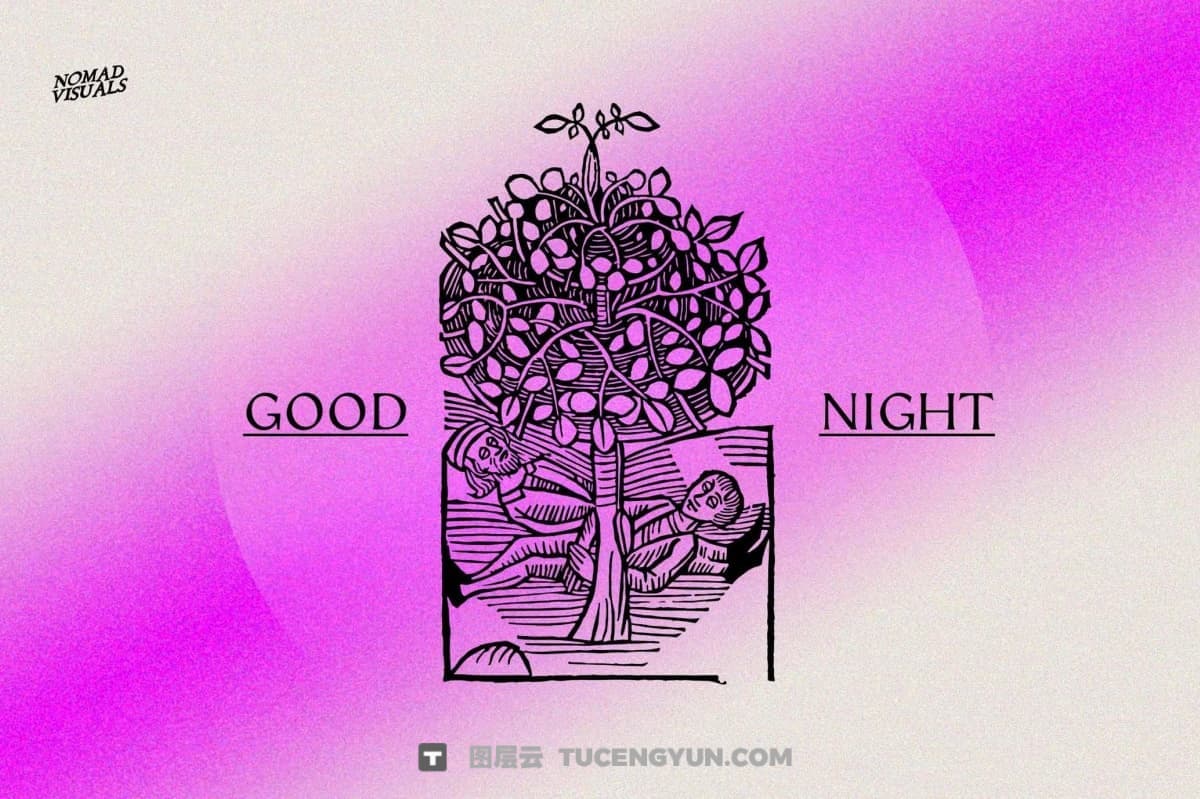 450个复古中式意境植物树枝树叶插花盆栽盆景AI矢量图形手绘插画设计套装 Herbarium Medieval Botany Collection（13346）