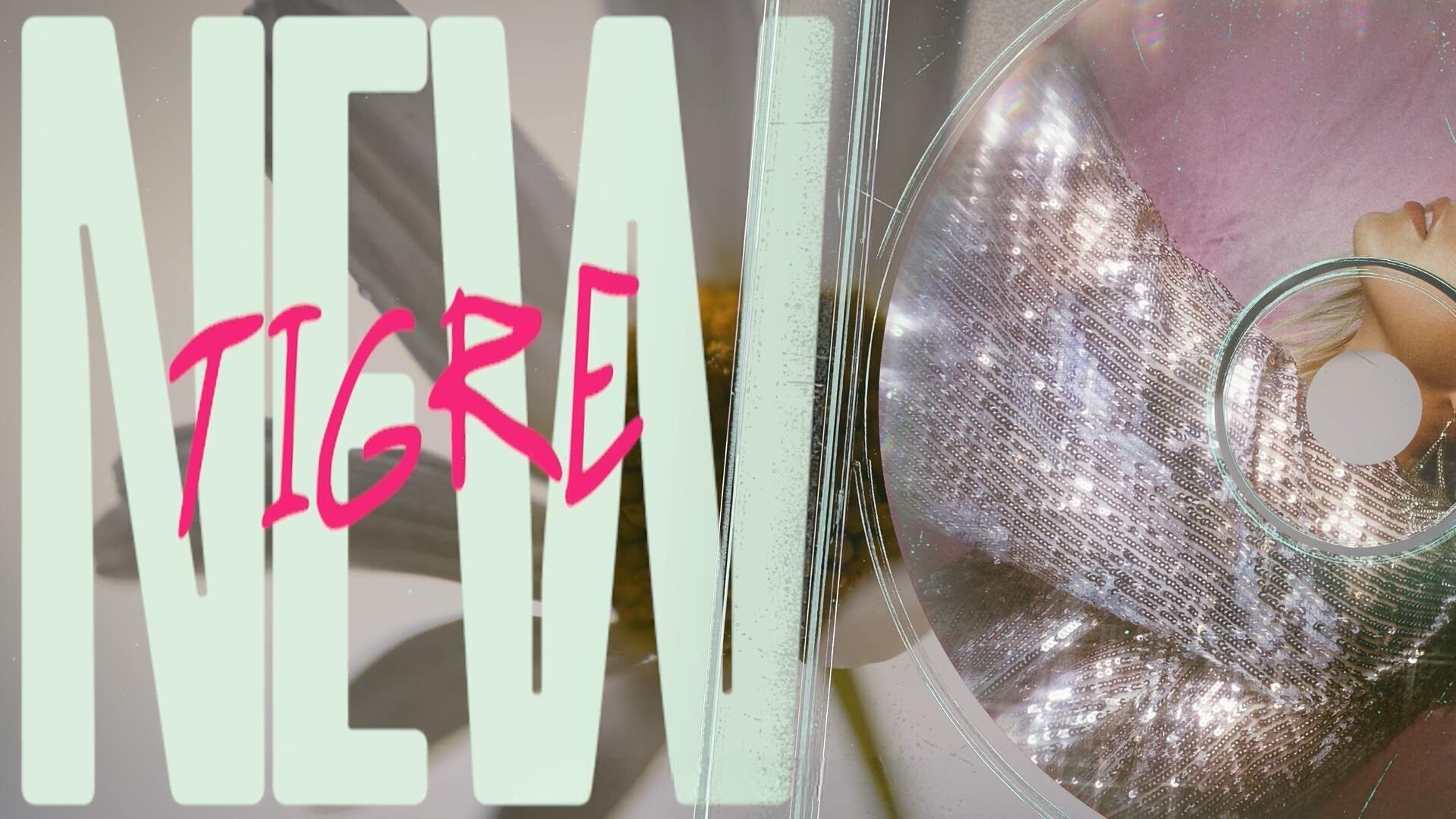 达芬奇模板：复古Y2K风格可视化CD音乐艺术品主题开场片头模板（13680）