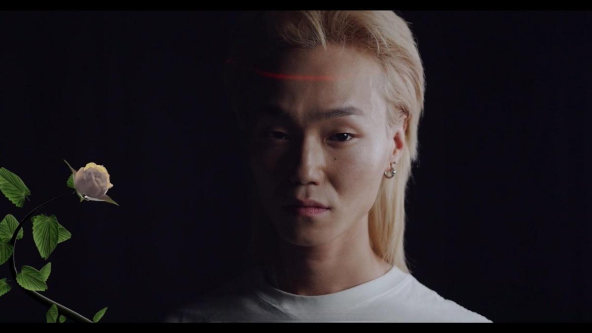 视频素材：42个梦幻情绪风格花卉生长盛开短片剪辑透明通道MOV视频素材（13454）