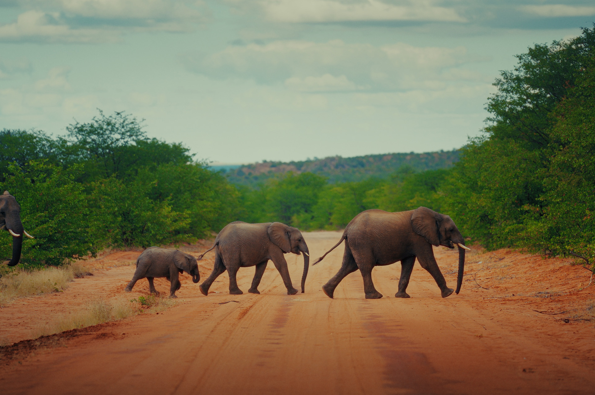 Reilin Joey – SECRET SAUCE V2 – MASTER COLLECTION 热门电影短片调色LUT+节点+练习文件+色彩分级大师班(中文字幕)（13085）