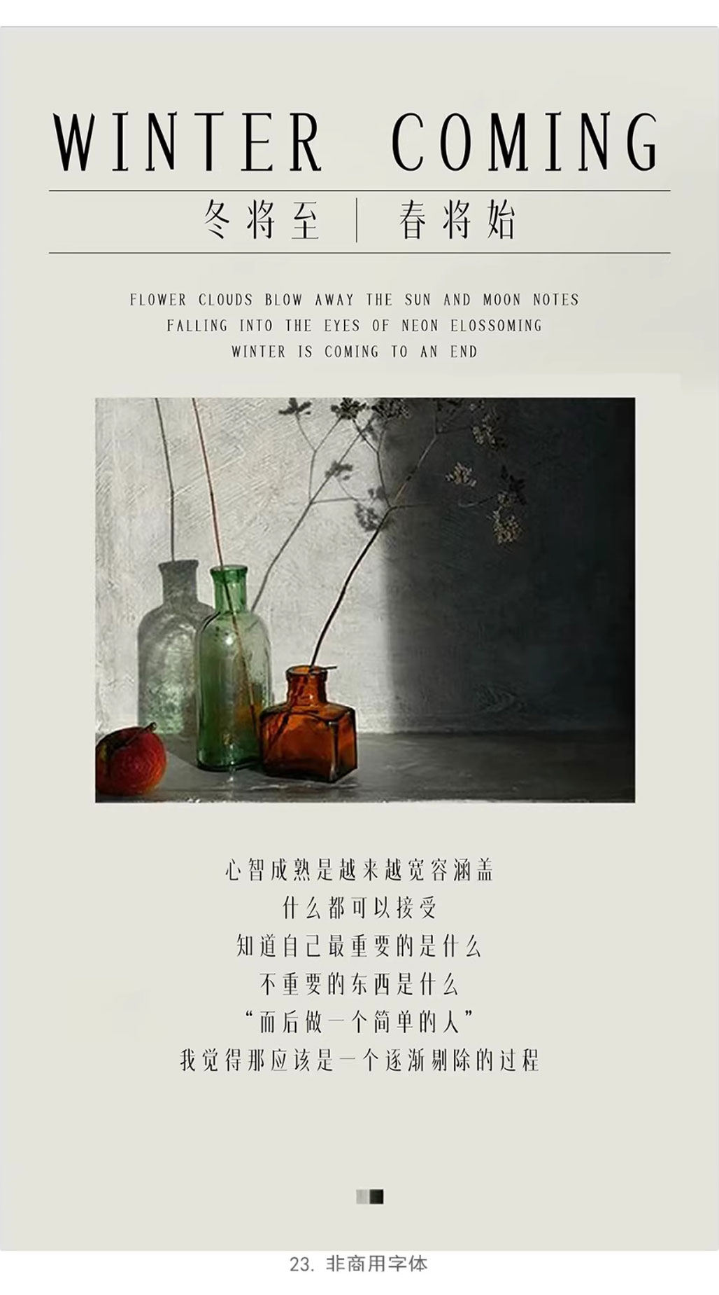 24个中式古风文艺宋体字体书籍展览海报排版视频剪辑中文字体 附带配套英文字体（13159）