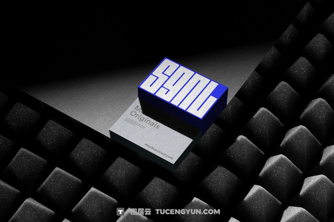 31个暗色质感企业VI文创品牌T恤手机电脑手提袋帆布袋名片海报设计展示PSD套装 SGNL Branding Mockups（13362）