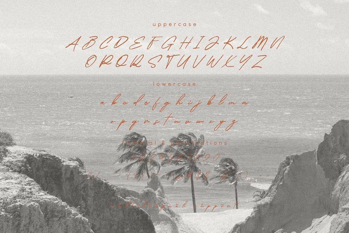 英文字体：真实自然流畅手写连笔笔触logo徽标标题排版封面海报请柬设计字体 Malverya Signature Brush Font（13866）