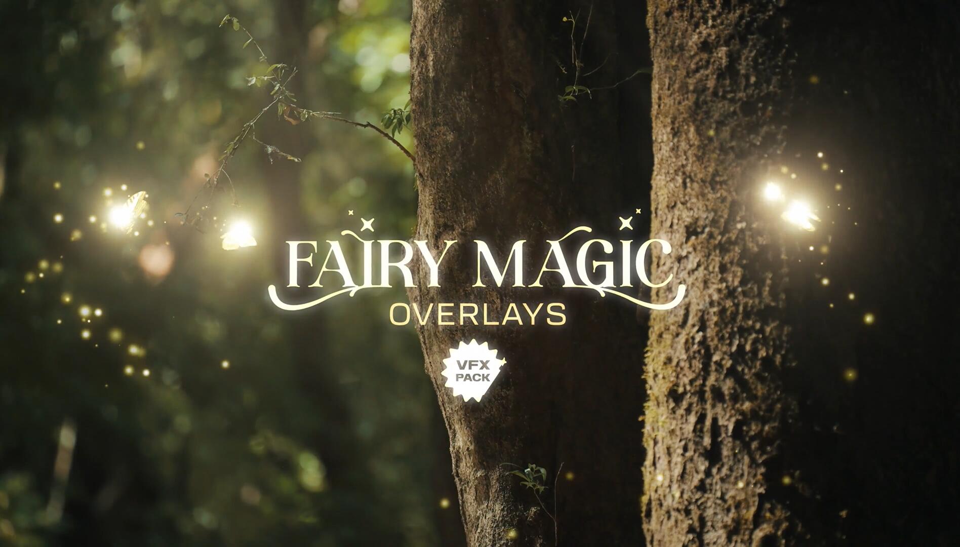 视频素材：20种梦幻闪光仙女星光魔法元素漂浮视频素材（13440）