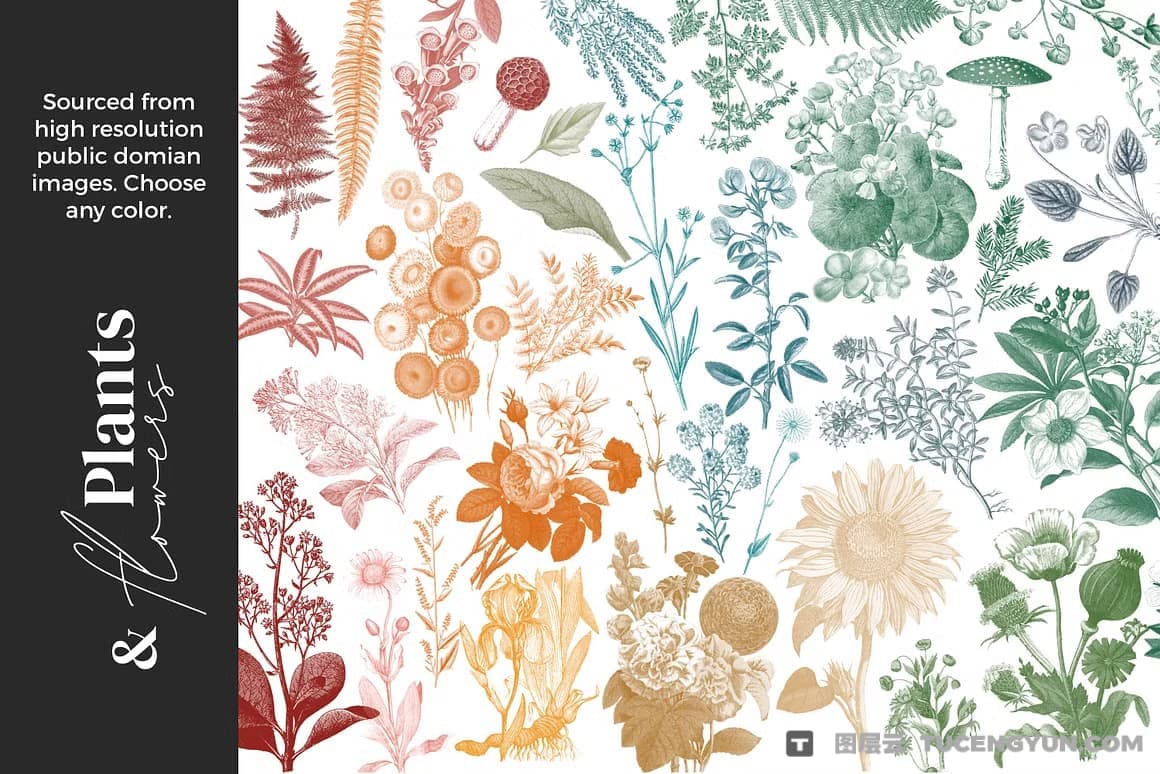 50款复古拼贴艺术混合媒体铅笔细线水墨粉笔蜡笔油画丙烯酸飞溅图章procreate笔刷画笔素材 Alainajensen – Mixed Media Collage Brushes for Procreate（13360）