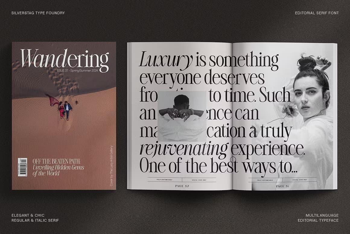 英文字体：80年代高级时装杂志文艺logo标题衬线排版海报封面字体 The Silver Editorial Serif Font（13707）