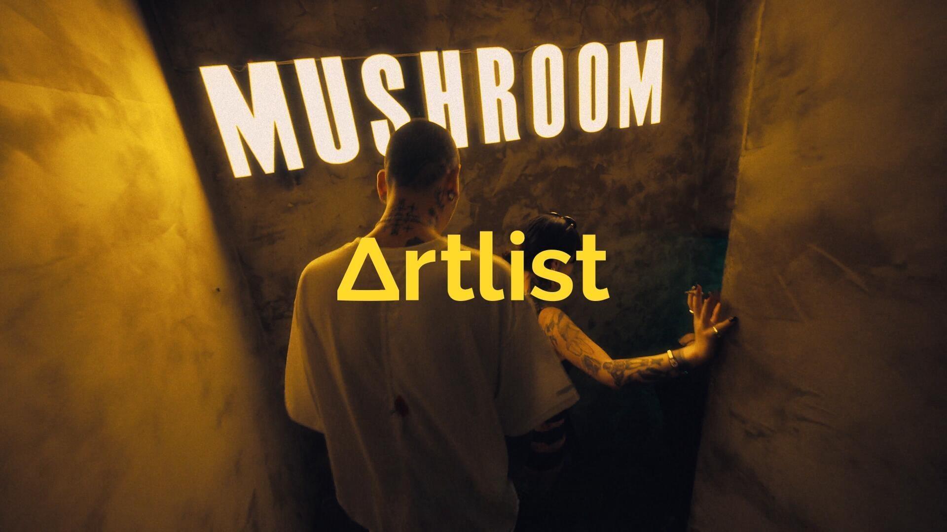 Artlist 10个热门商业广告短片摄像机实拍LOG/RAW原始灰片调色练习片段视频素材（13683）