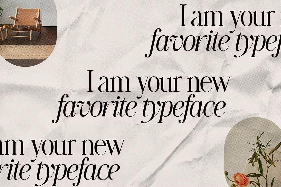 英文字体：80年代高级时装杂志文艺logo标题衬线排版海报封面字体 The Silver Editorial Serif Font（13707）