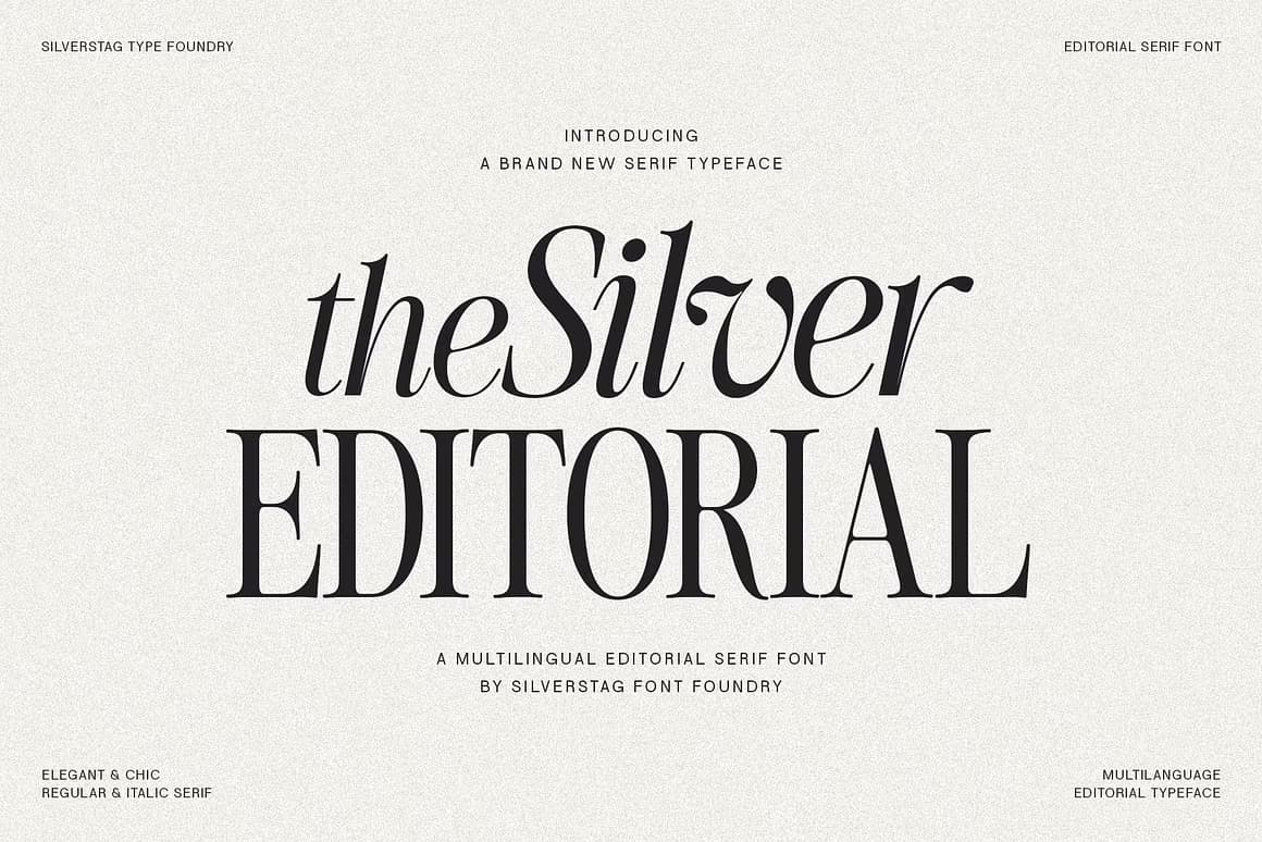 英文字体：80年代高级时装杂志文艺logo标题衬线排版海报封面字体 The Silver Editorial Serif Font（13707）