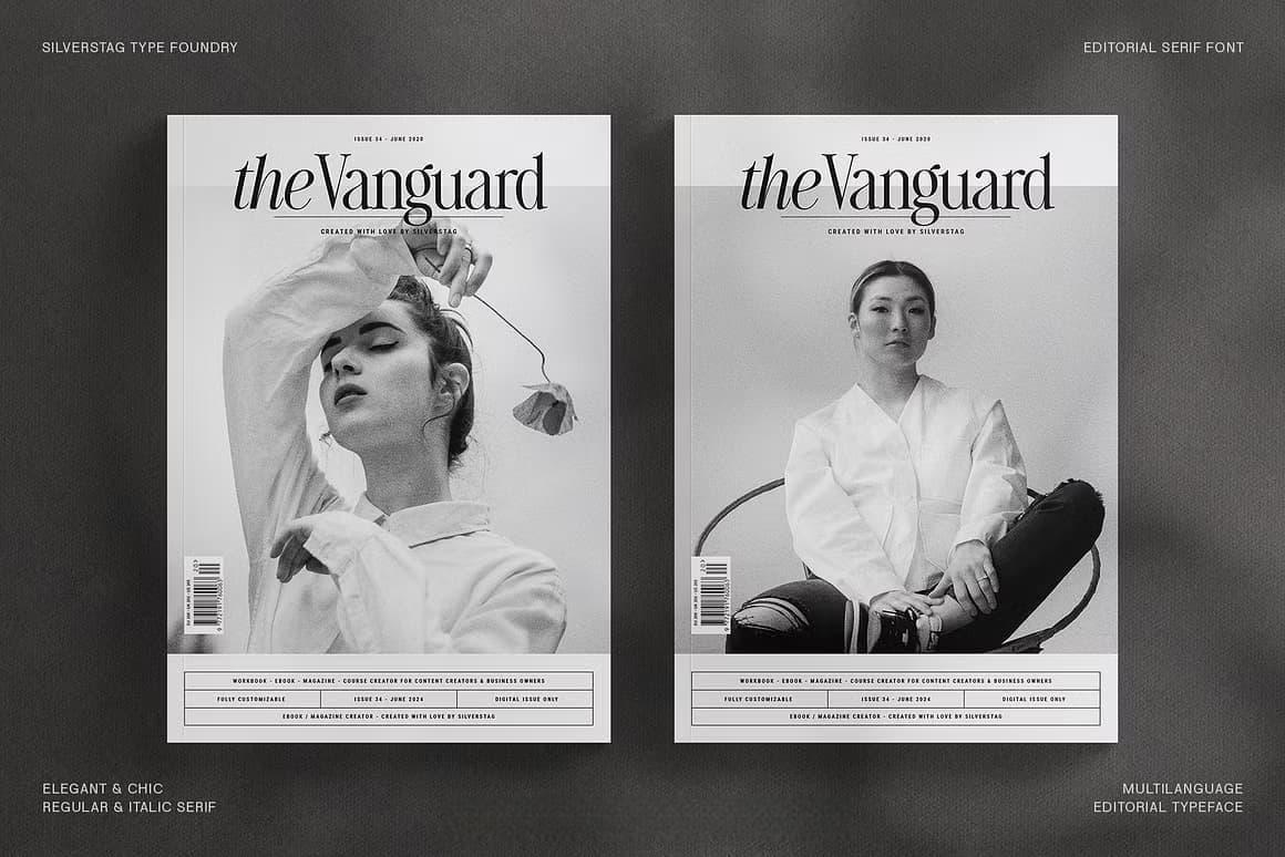 英文字体：80年代高级时装杂志文艺logo标题衬线排版海报封面字体 The Silver Editorial Serif Font（13707）