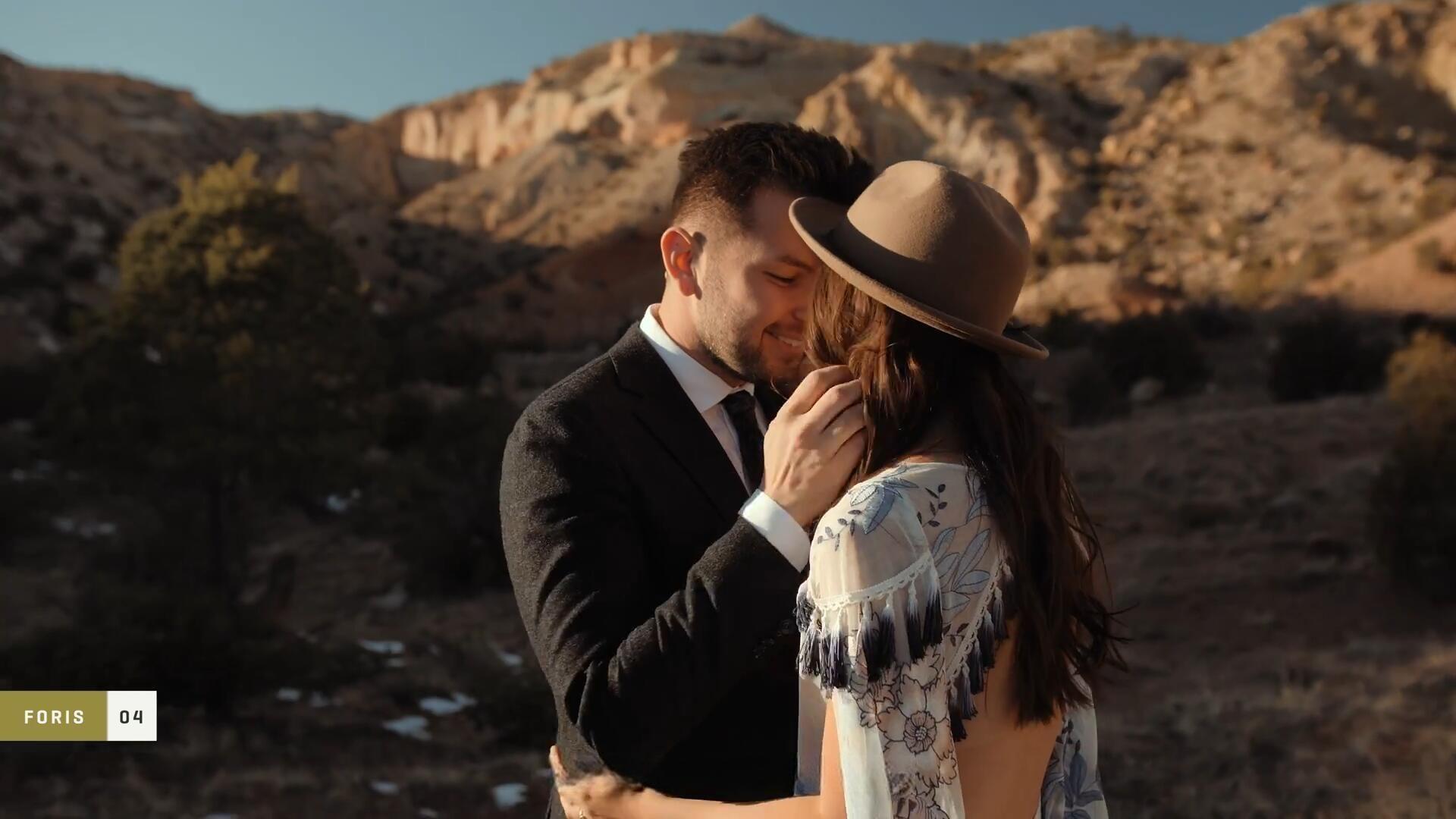 Gamut-FORIS 大胆棕绿色调婚礼、户外、风景、旅拍VLOG短片电影LUT调色预设（13227）