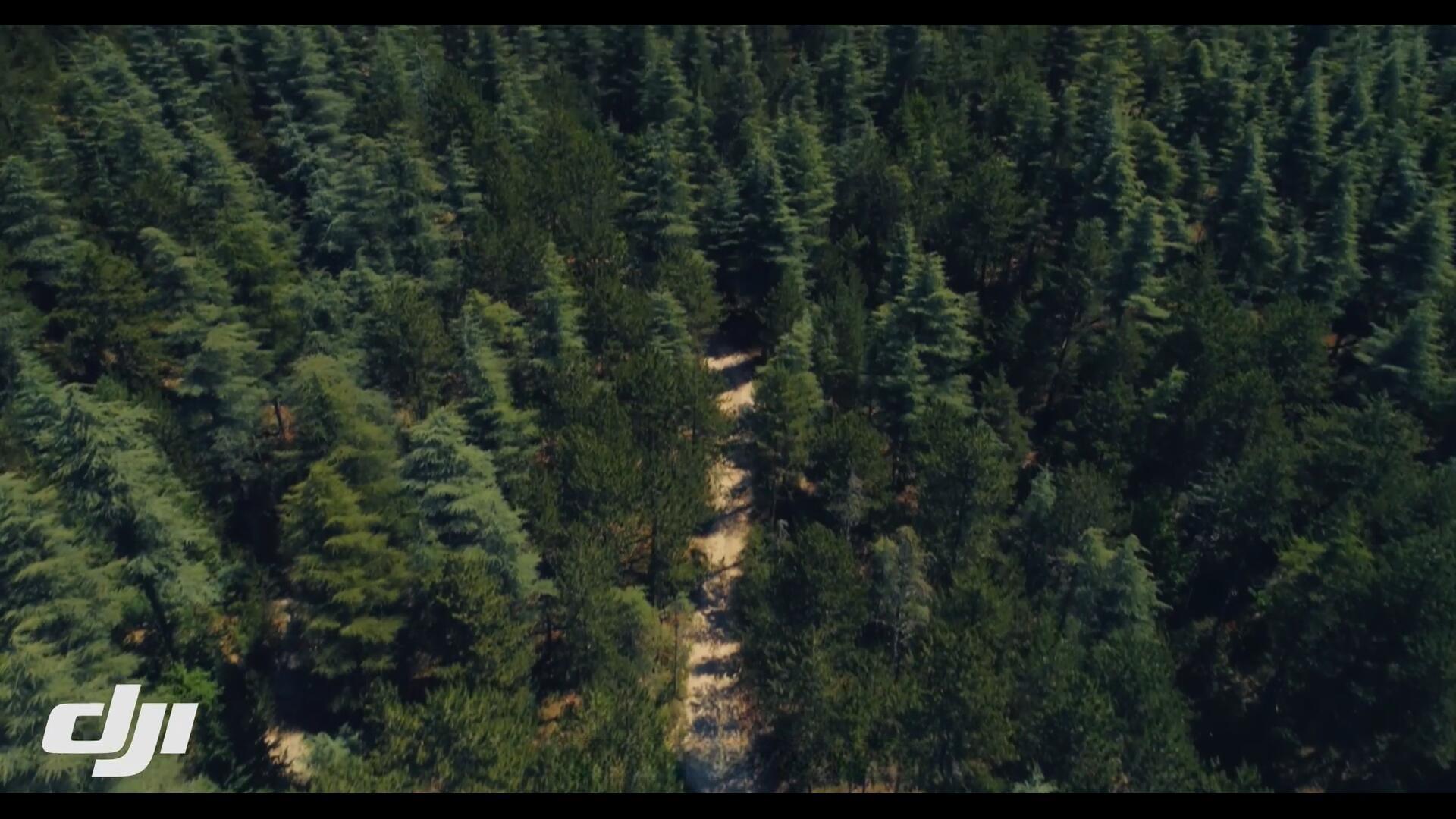 AE/PR插件：热门电影级色彩分级极简滑块工具汉化版 Shift for Adobe PR/AE WIN（13188）