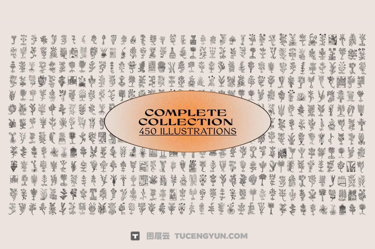 450个复古中式意境植物树枝树叶插花盆栽盆景AI矢量图形手绘插画设计套装 Herbarium Medieval Botany Collection（13346）