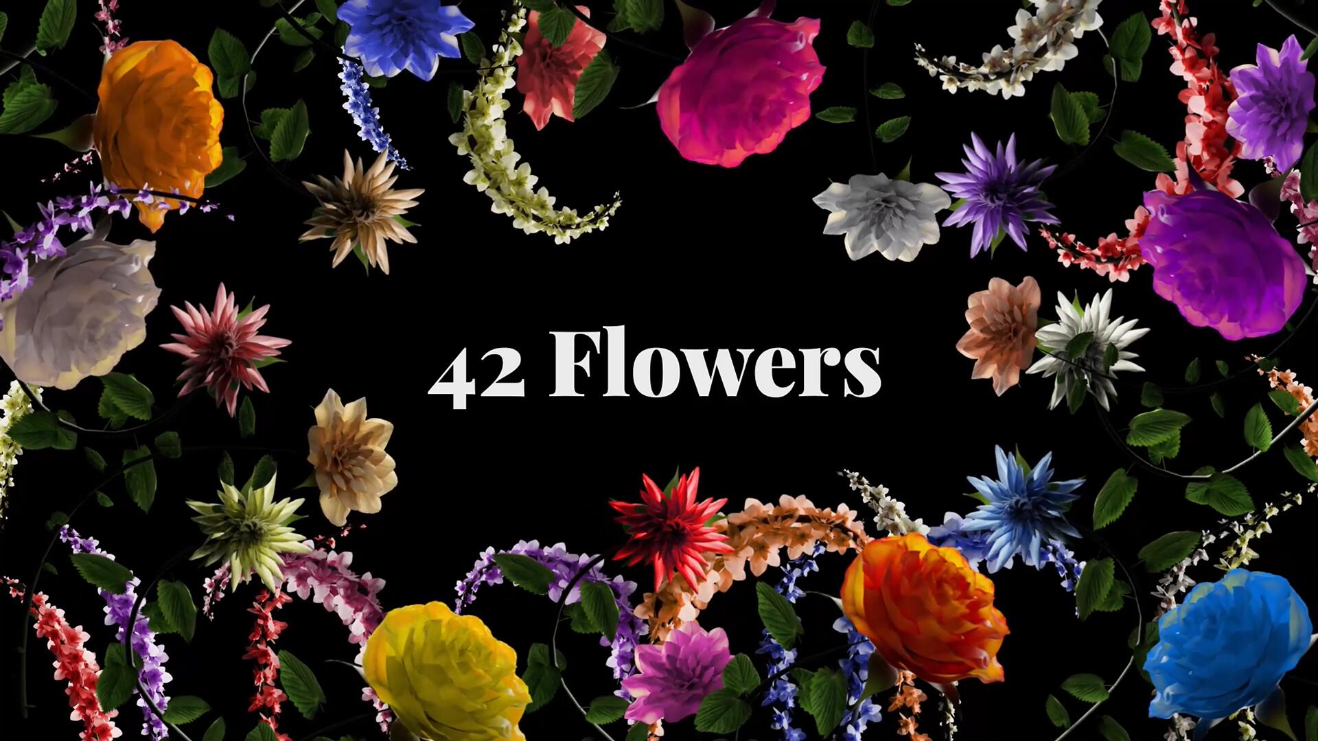 视频素材：42个梦幻情绪风格花卉生长盛开短片剪辑透明通道MOV视频素材（13454）