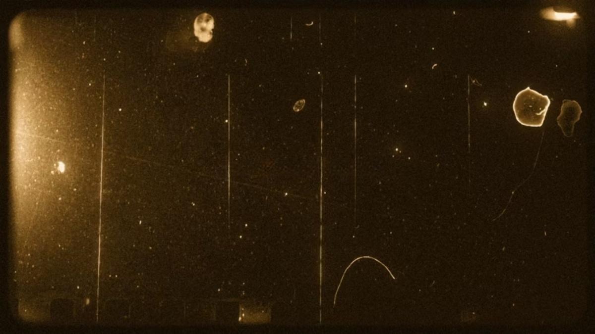 Artlist 20款复古美学邋遢旧棕褐色薄膜效果叠加纹理视频素材+音效素材 Sepia Old Sepia Vertical Film Effects（13293）