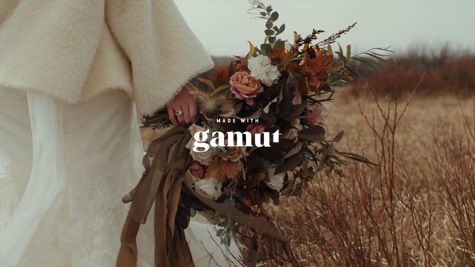 Gamut-FORIS 大胆棕绿色调婚礼、户外、风景、旅拍VLOG短片电影LUT调色预设（13227）