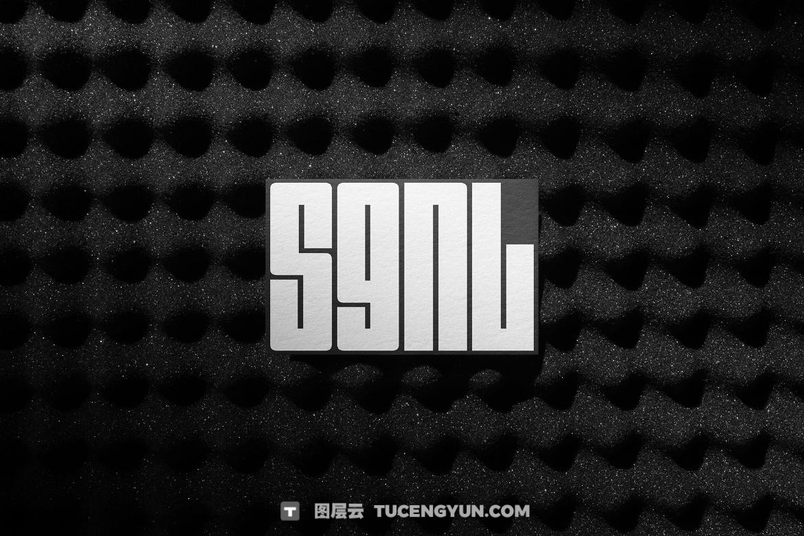 31个暗色质感企业VI文创品牌T恤手机电脑手提袋帆布袋名片海报设计展示PSD套装 SGNL Branding Mockups（13362）