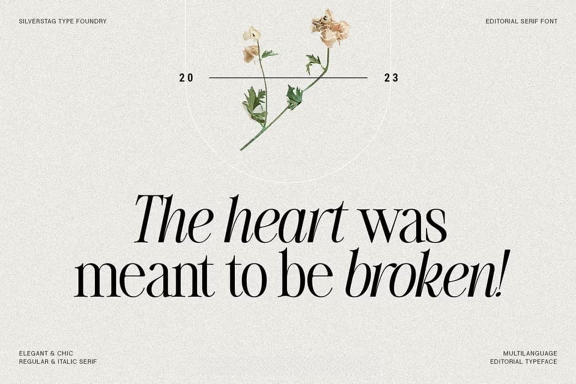 英文字体：80年代高级时装杂志文艺logo标题衬线排版海报封面字体 The Silver Editorial Serif Font（13707）