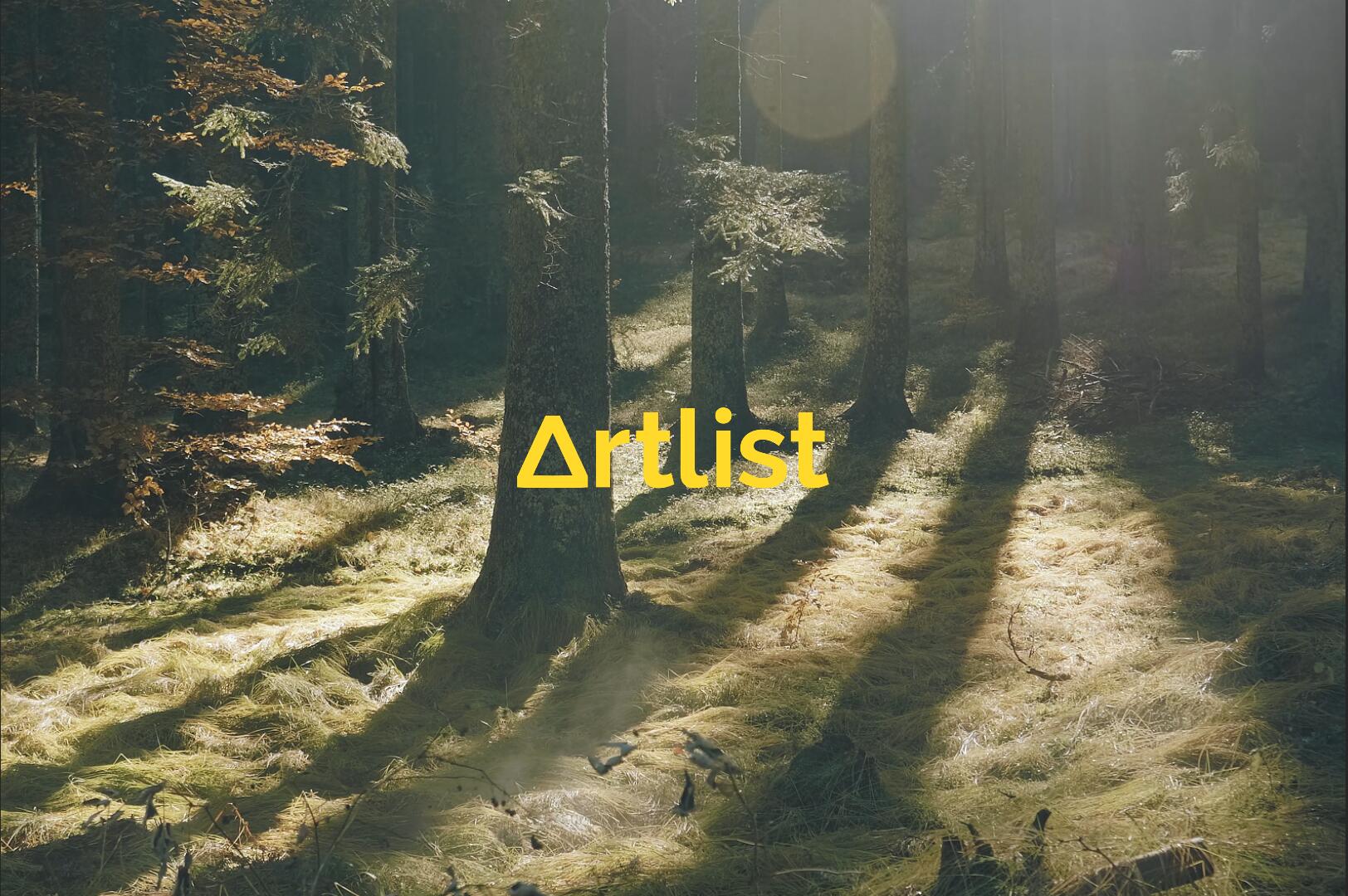 Artlist 14个热门商业广告短片摄像机实拍LOG/RAW原始灰片调色练习片段视频素材（13208）