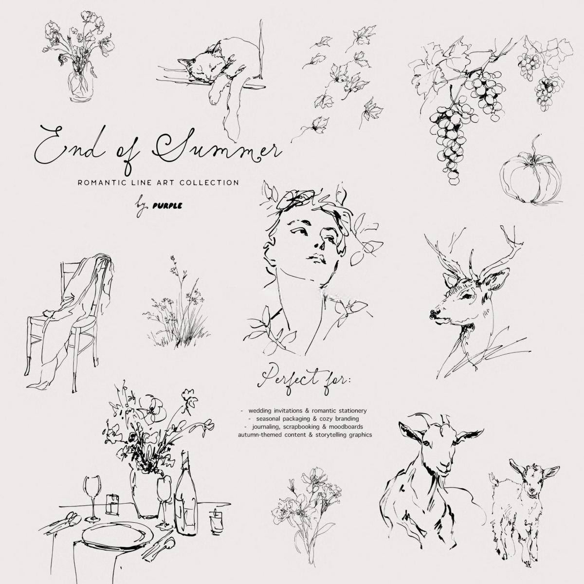 60个怀旧优雅极简手绘线条剪影干花野果宁静的风景天鹅鹿AI矢量请柬插画包装PNG图片设计素材 End of Summer: Line Art Collection（13088）