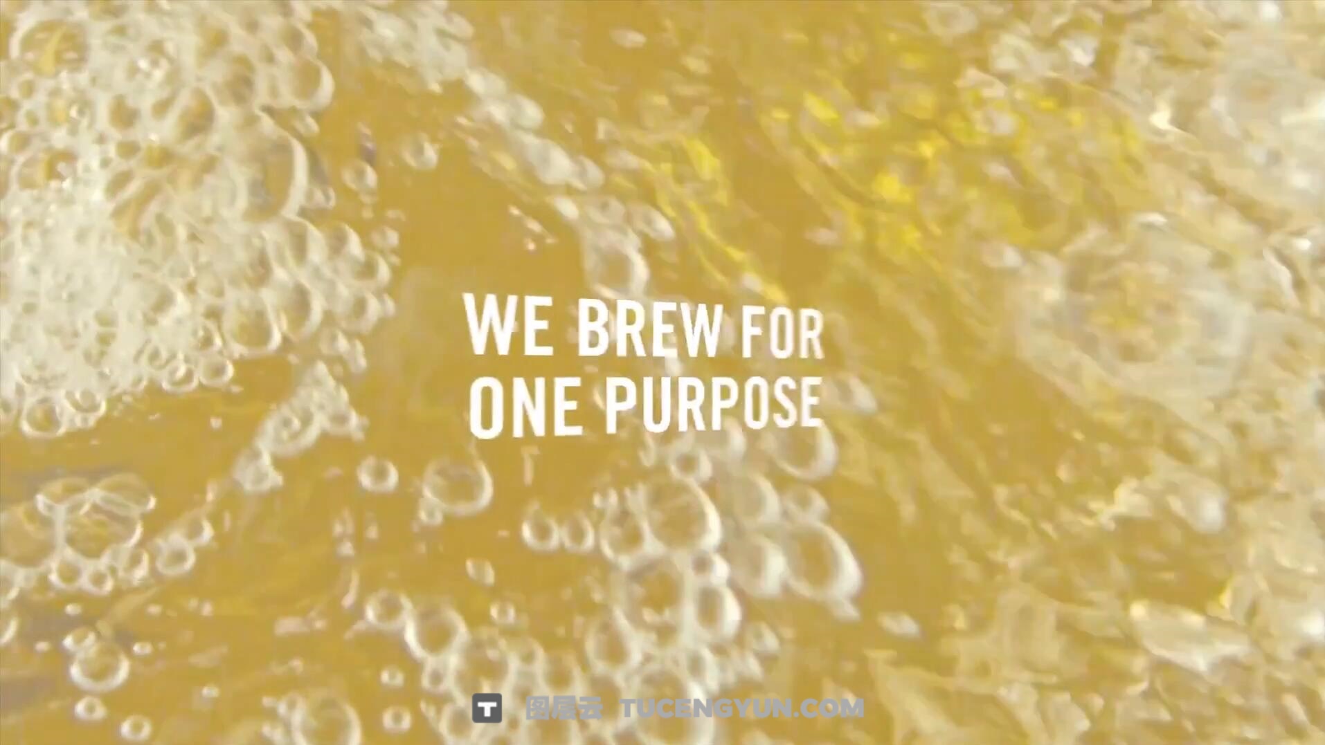 大师课程：商业级啤酒广告打光、摄影视频课程 中文字幕 Filmmakers Academy – How To Shoot a Beer Commercial（13344）