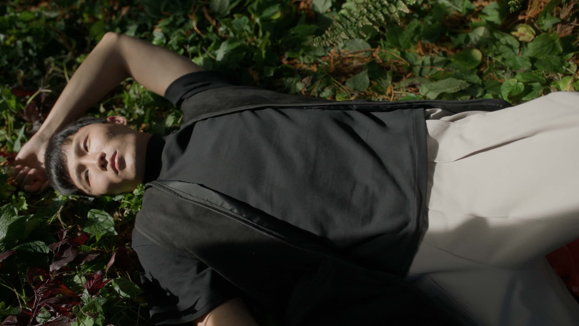 全新奈飞电影美学柯达250D胶片仿真模拟色彩外观LUT调色预设 Kodak 250D Cinematic LUTs（13460）