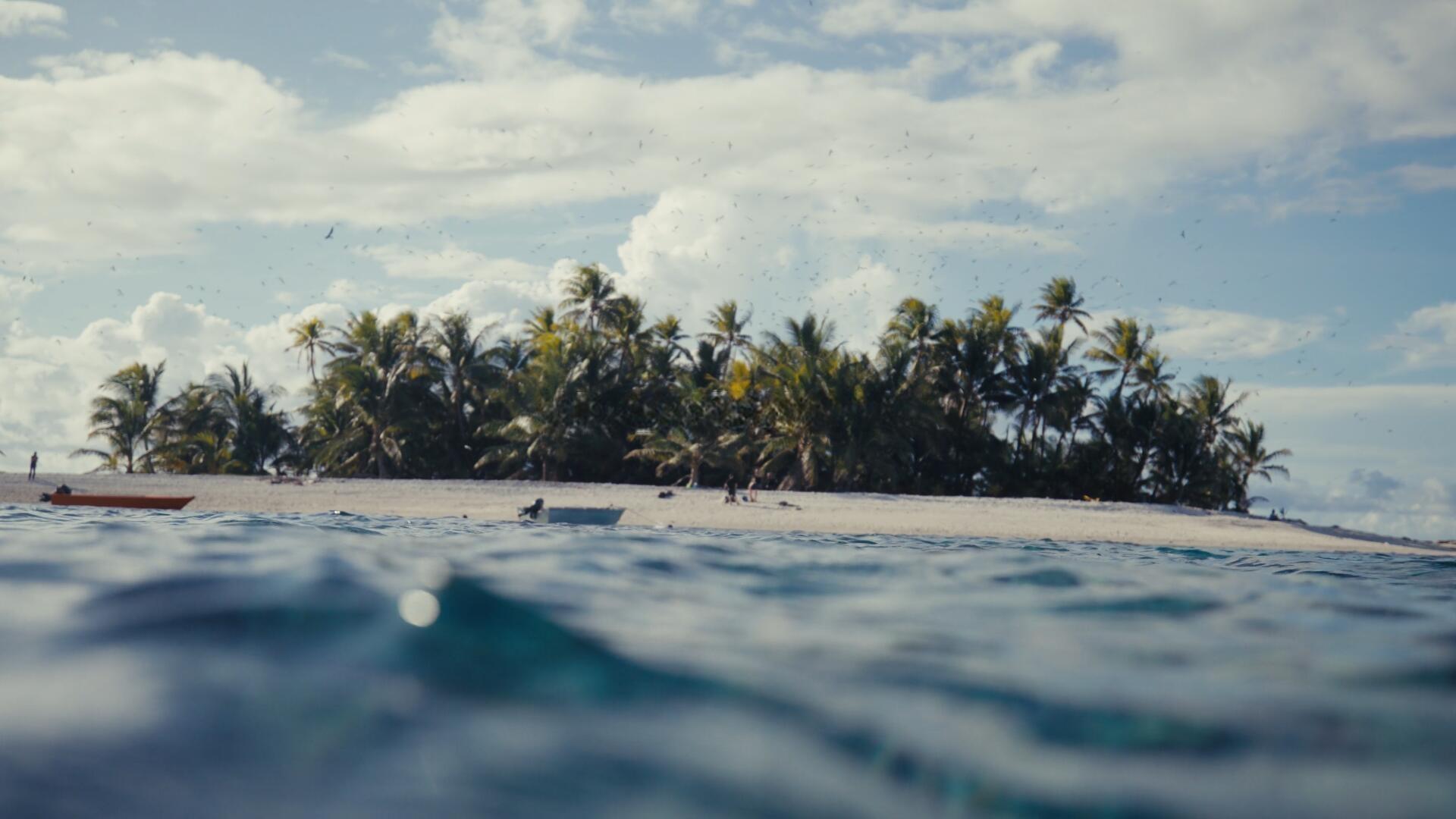 Artlist 14个热门商业广告短片摄像机实拍LOG/RAW原始灰片调色练习片段视频素材（13236）