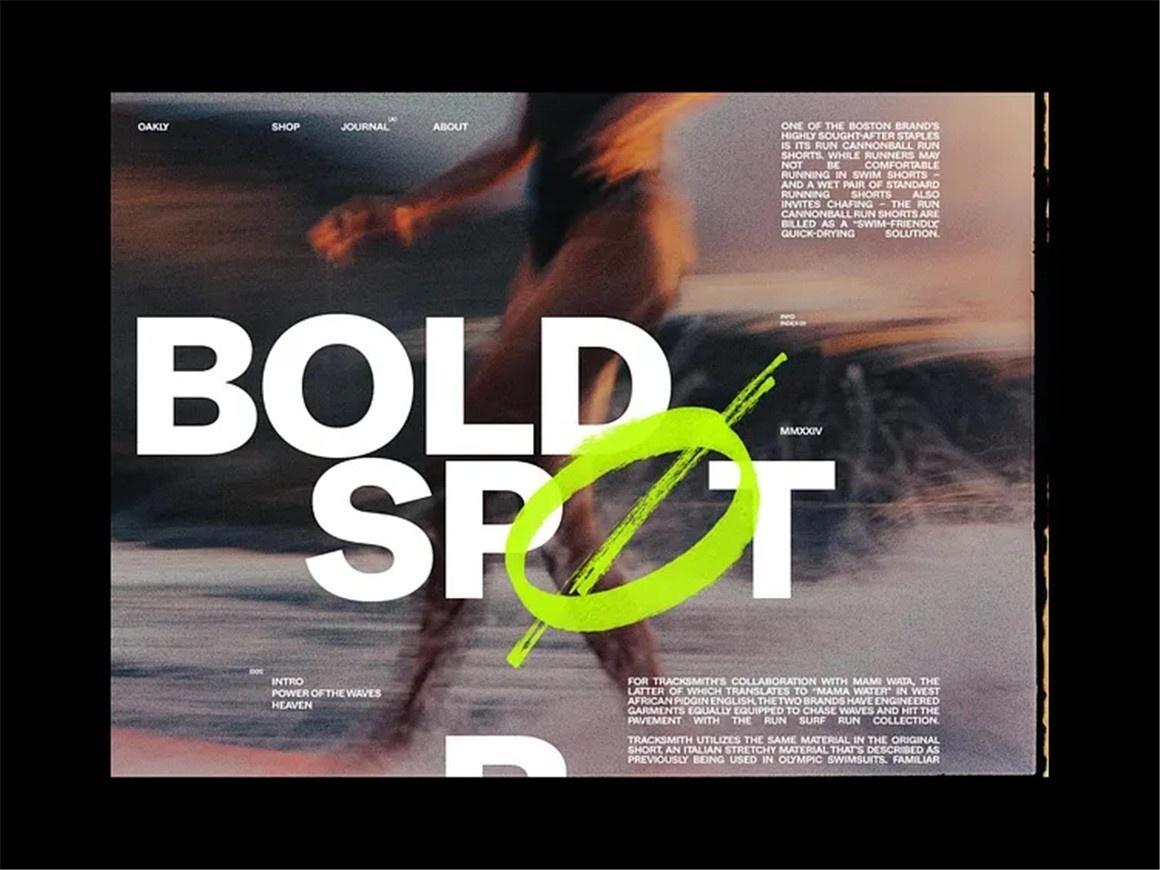 大师课程：全新排版布局艺术视觉美学视频课程 中文字幕 Typography & Layout Masterclass by Oliver Gareis（13200）