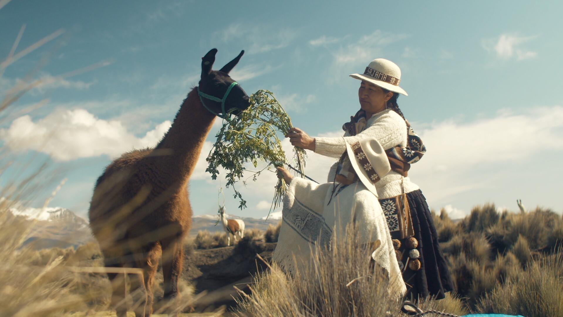 Artlist 14个热门商业广告短片摄像机实拍LOG/RAW原始灰片调色练习片段视频素材（13236）