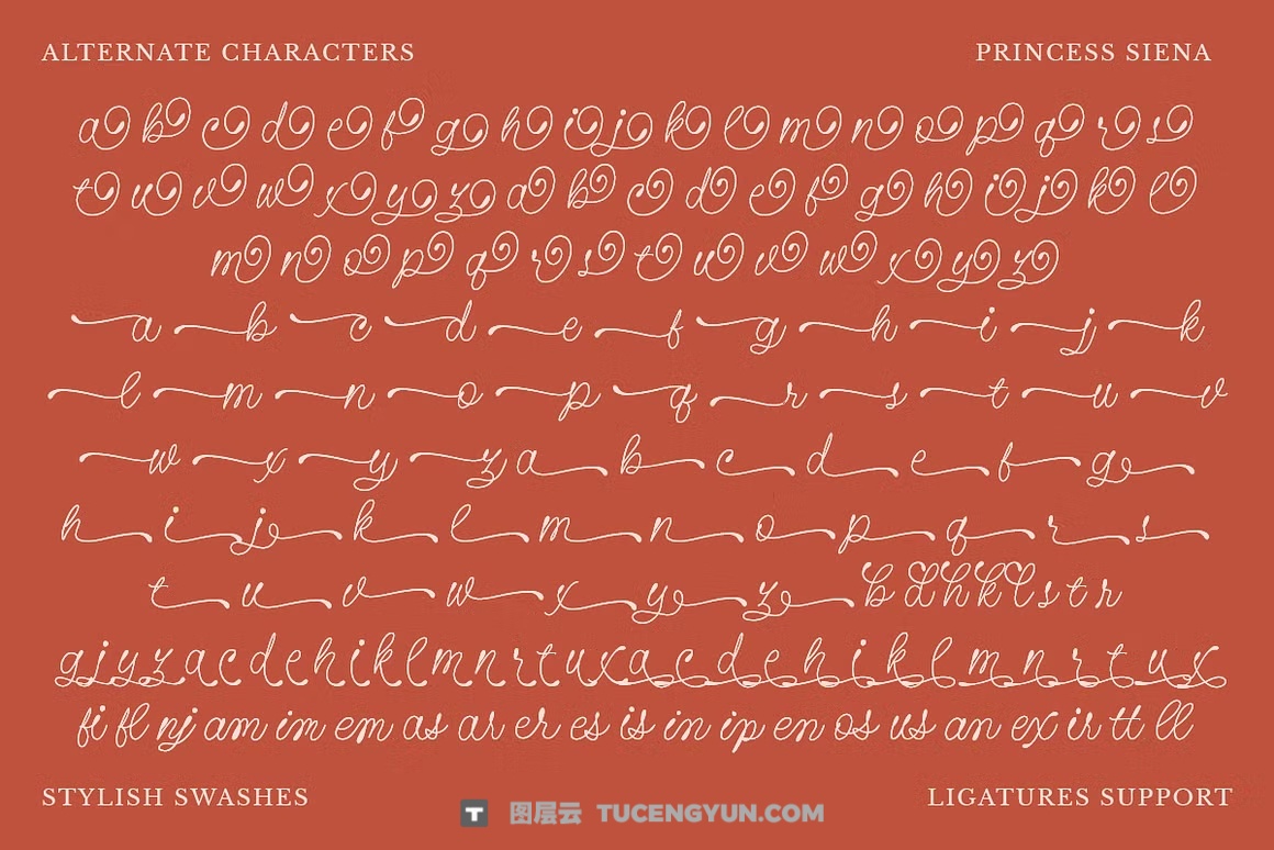英文字体：精致优雅流畅单线手写字体婚礼请柬视食品品牌设计字体 Princess Siena – A Whimsical Script（13660）