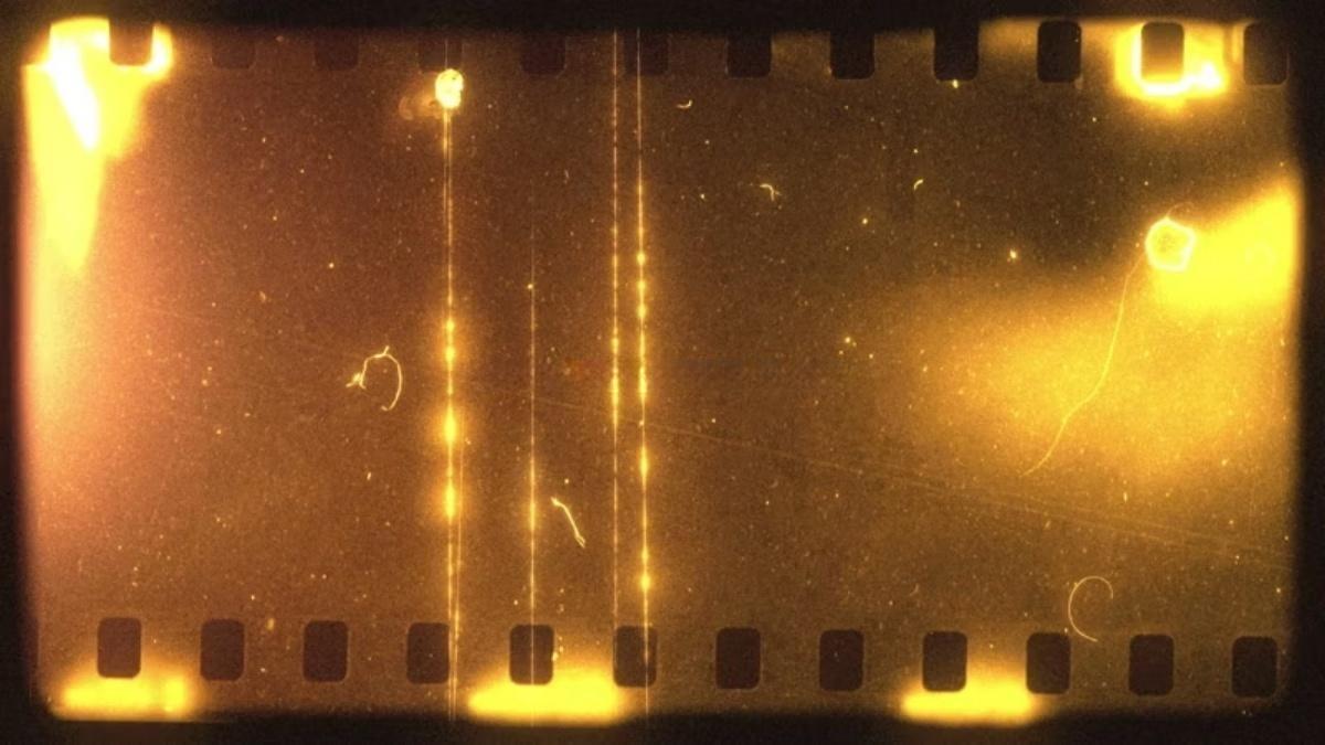 Artlist 20款复古美学邋遢旧棕褐色薄膜效果叠加纹理视频素材+音效素材 Sepia Old Sepia Vertical Film Effects（13293）