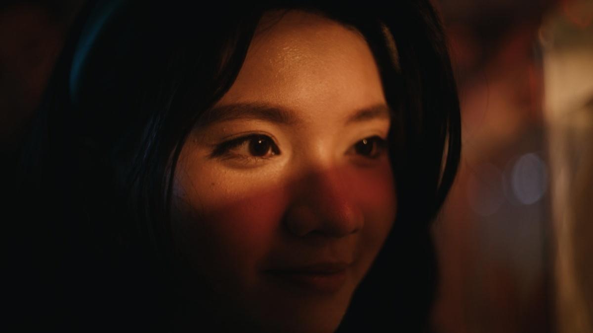 达芬奇插件：好莱坞顶级电影胶片色彩、颗粒、光晕、仿真模拟效果插件+PowerGrades+中文字幕视频教程 Genesis for DaVinci WIN/MAC（13432）