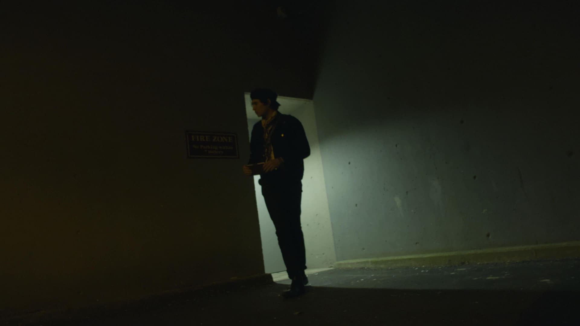 全新奈飞电影美学柯达250D胶片仿真模拟色彩外观LUT调色预设 Kodak 250D Cinematic LUTs（13460）