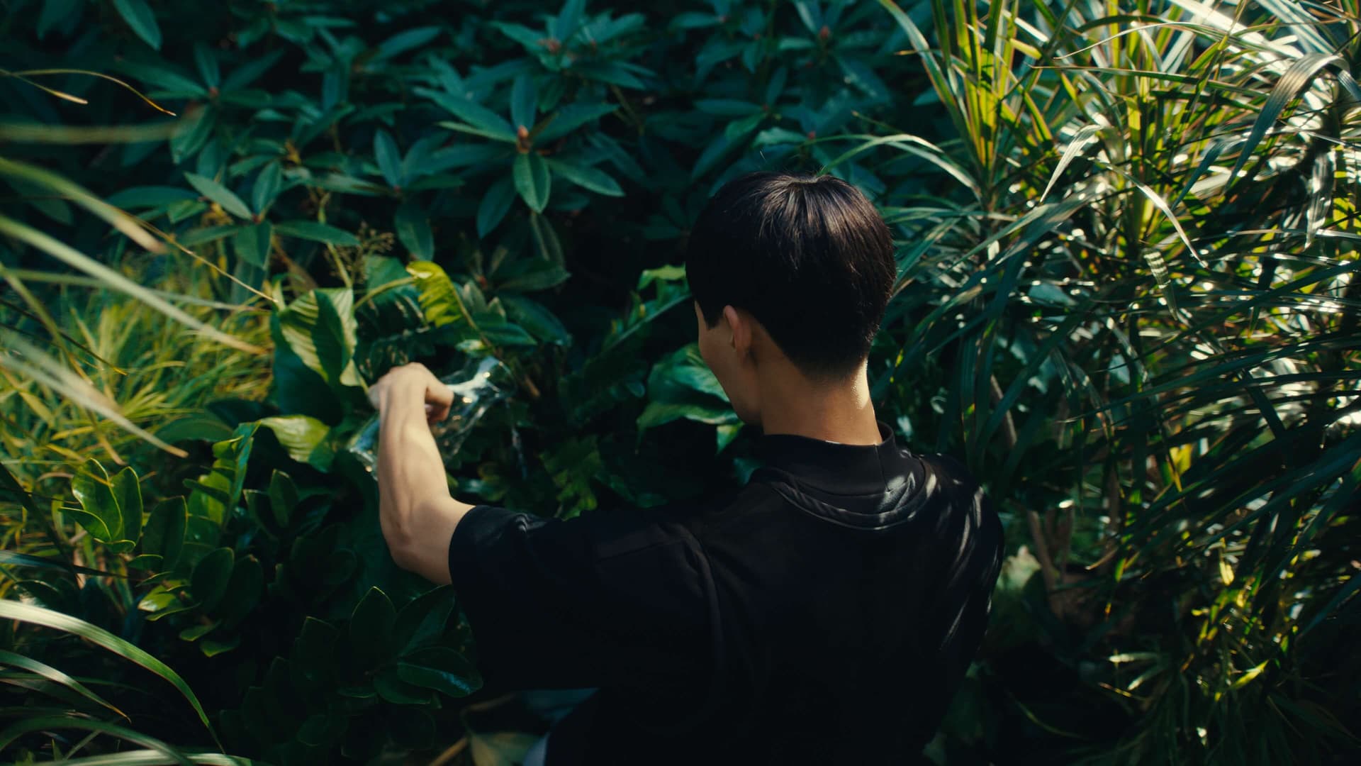 全新奈飞电影美学柯达250D胶片仿真模拟色彩外观LUT调色预设 Kodak 250D Cinematic LUTs（13460）