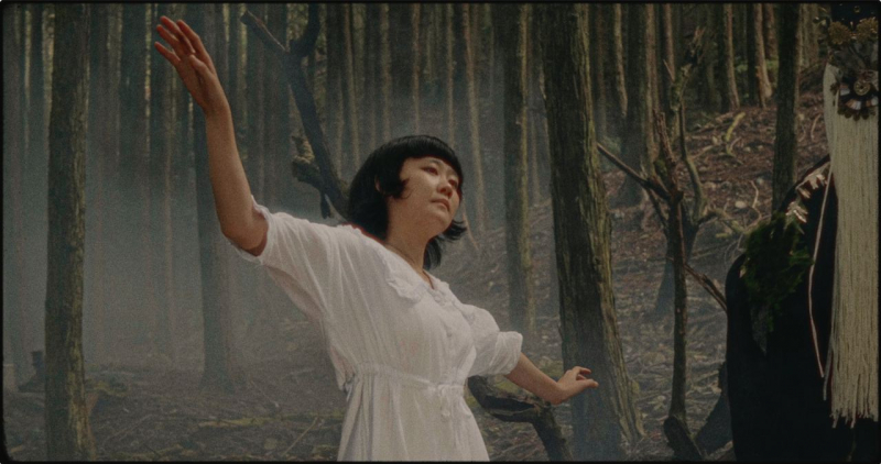 复古电影胶片色彩分级颗粒光晕模拟工具 Dehancer Pro OFX 达芬奇/FCPX/AE/PR/PS/LR Win/Mac破解版（7587）