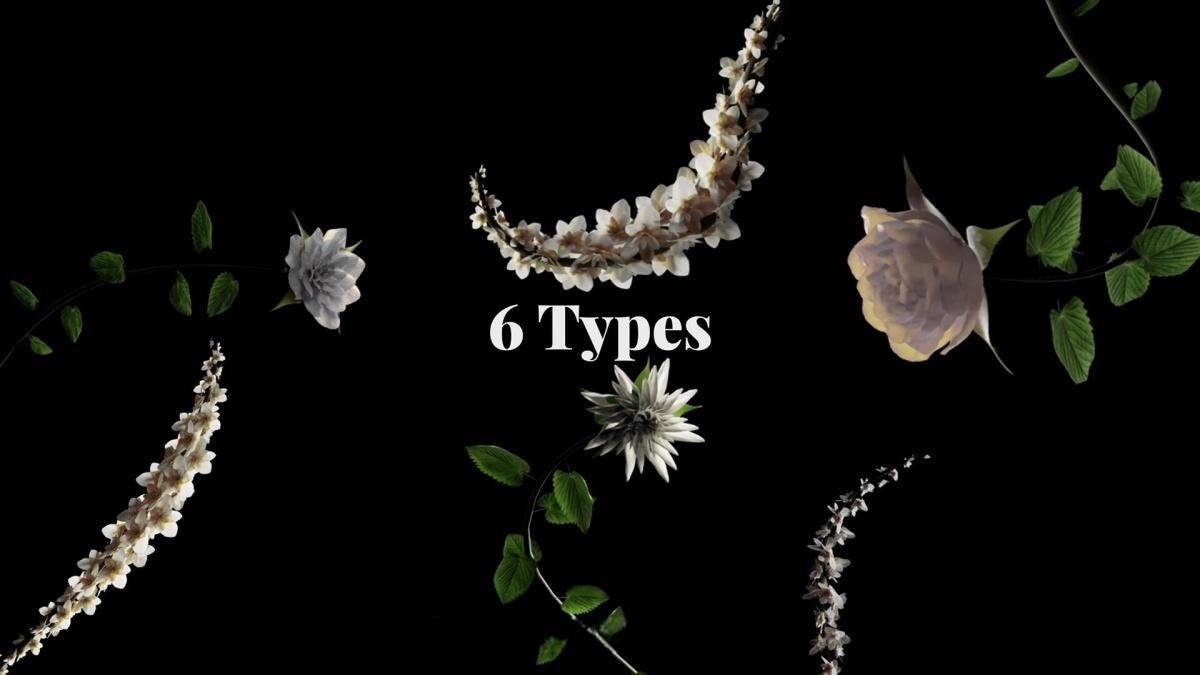 视频素材：42个梦幻情绪风格花卉生长盛开短片剪辑透明通道MOV视频素材（13454）