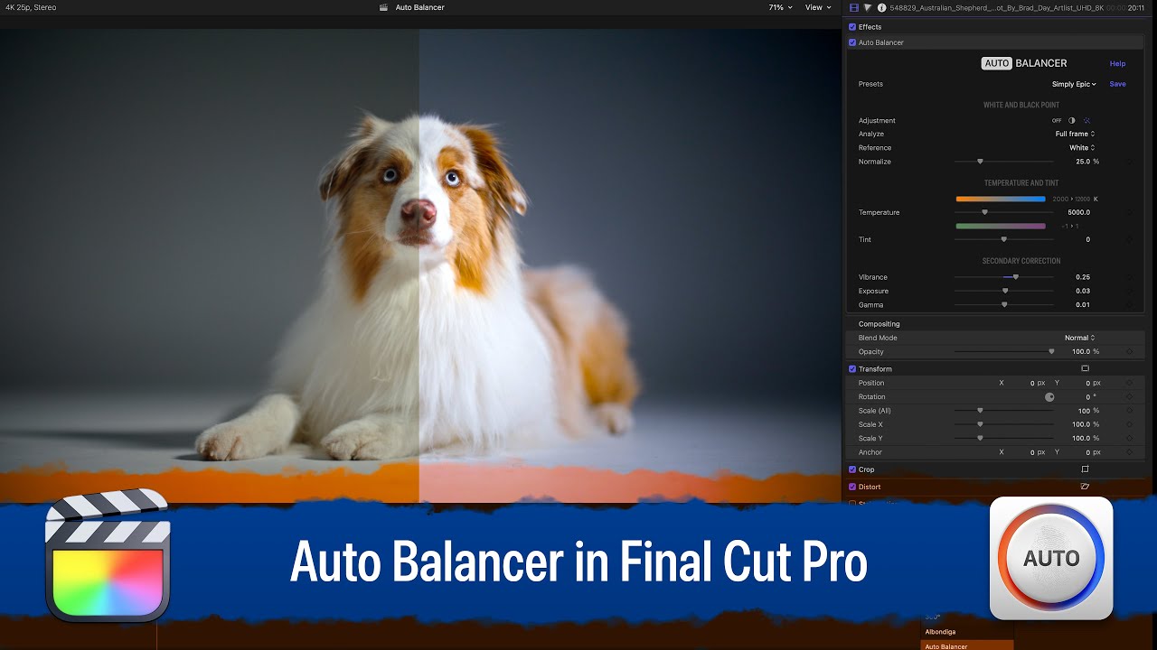 FCPX插件:自动色彩平衡、校正、调整插件 Auto Balancer(13156) FCPX插件:自动色彩平衡、校正、调整插件 Auto Balancer(13156)