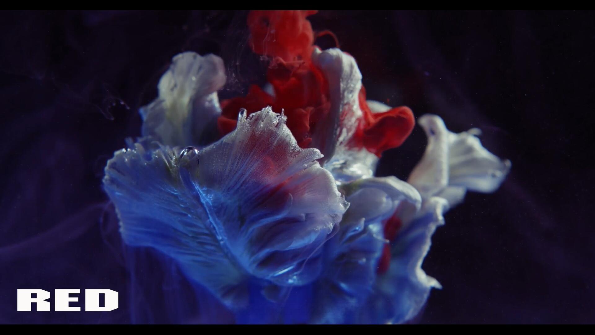 AE/PR插件：热门电影级色彩分级极简滑块工具汉化版 Shift for Adobe PR/AE WIN（13188）