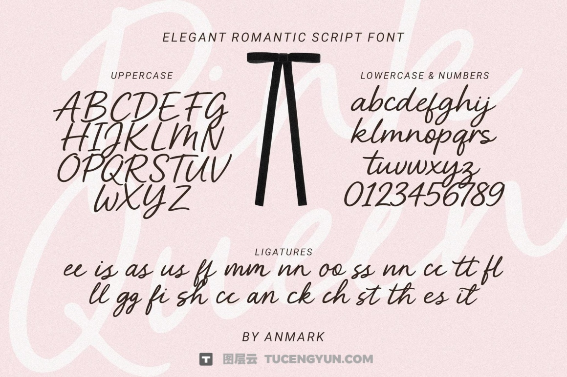 英文字体：浪漫优雅气质柔和logo标题排版手写连笔封面海报封面设计字体 Pink Queen | Elegant Romantic Script（13448）