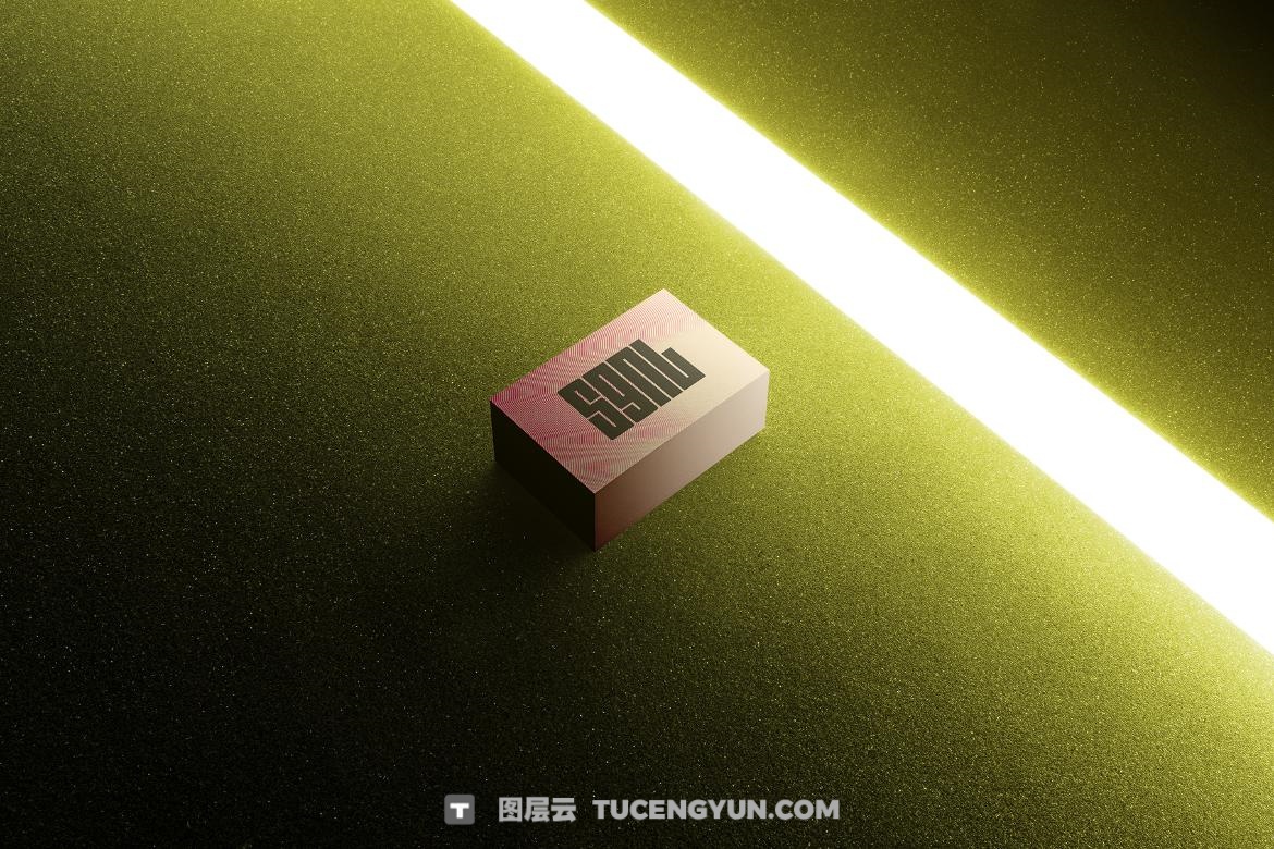 31个暗色质感企业VI文创品牌T恤手机电脑手提袋帆布袋名片海报设计展示PSD套装 SGNL Branding Mockups（13362）