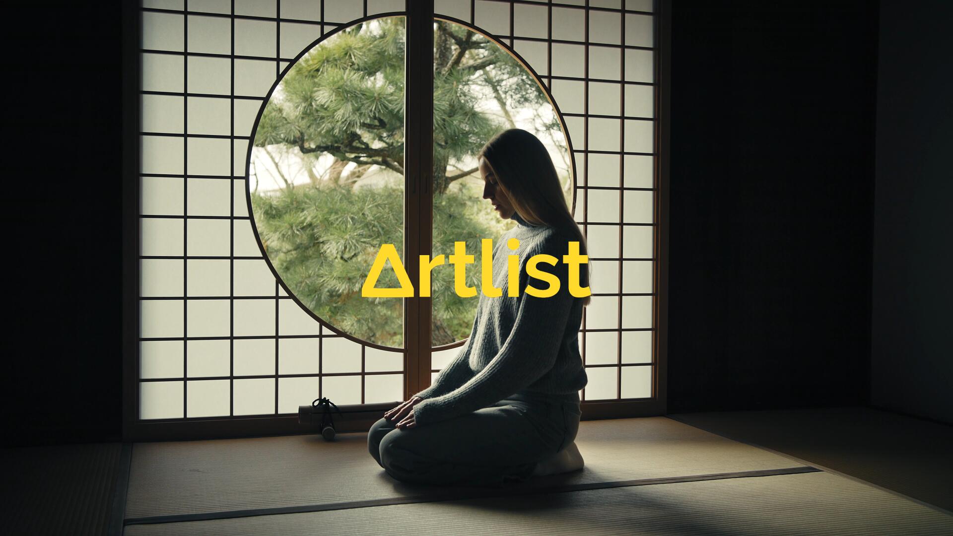 Artlist 11个热门商业广告短片摄像机实拍LOG/RAW原始灰片调色练习片段视频素材（13354）