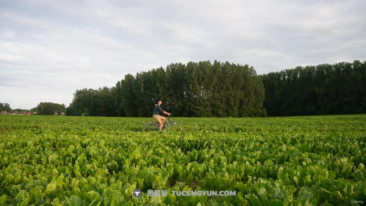 大师课程：探索创意摄影角度的5个级别视频课程 中文字幕 The 5 Levels of Creative Camera Angles（13351）