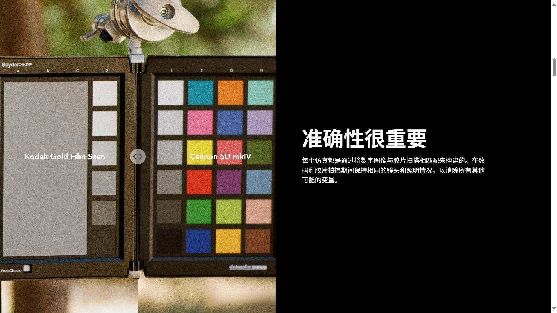 CP Kodak 一键式柯达胶片电影美学怀旧色调光晕颗粒胶片仿真模拟摄影Lightroom调色预设 ColorPrecision – CP Kodak – Lightroom Presets（12955）