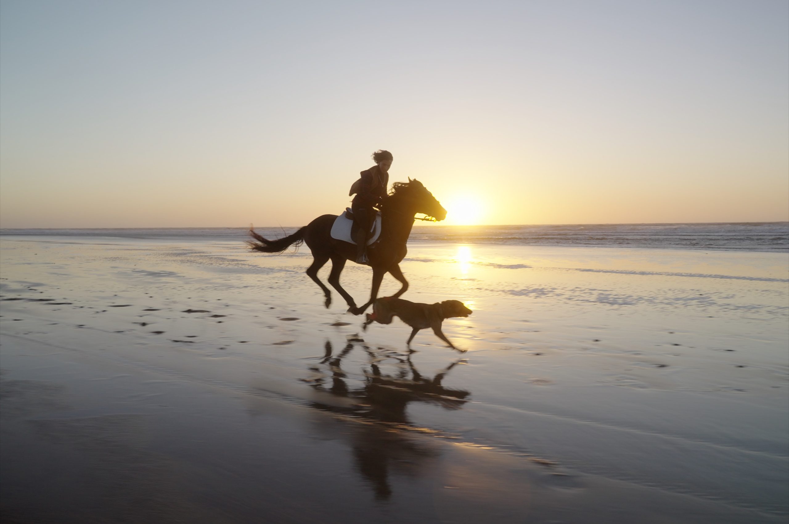 Reilin Joey – SECRET SAUCE V2 – MASTER COLLECTION 热门电影短片调色LUT+节点+练习文件+色彩分级大师班(中文字幕)（13085）