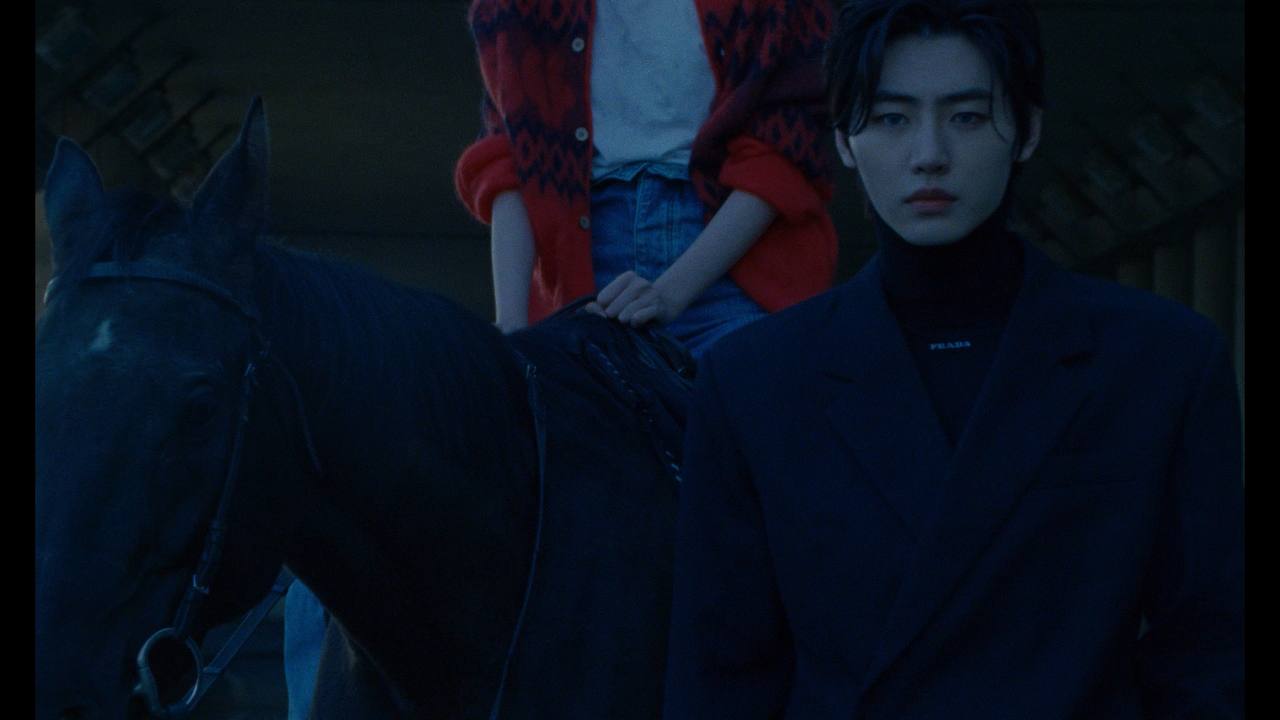 复古电影胶片色彩分级颗粒光晕模拟工具 Dehancer Pro OFX 达芬奇/FCPX/AE/PR/PS/LR Win/Mac破解版（7587）