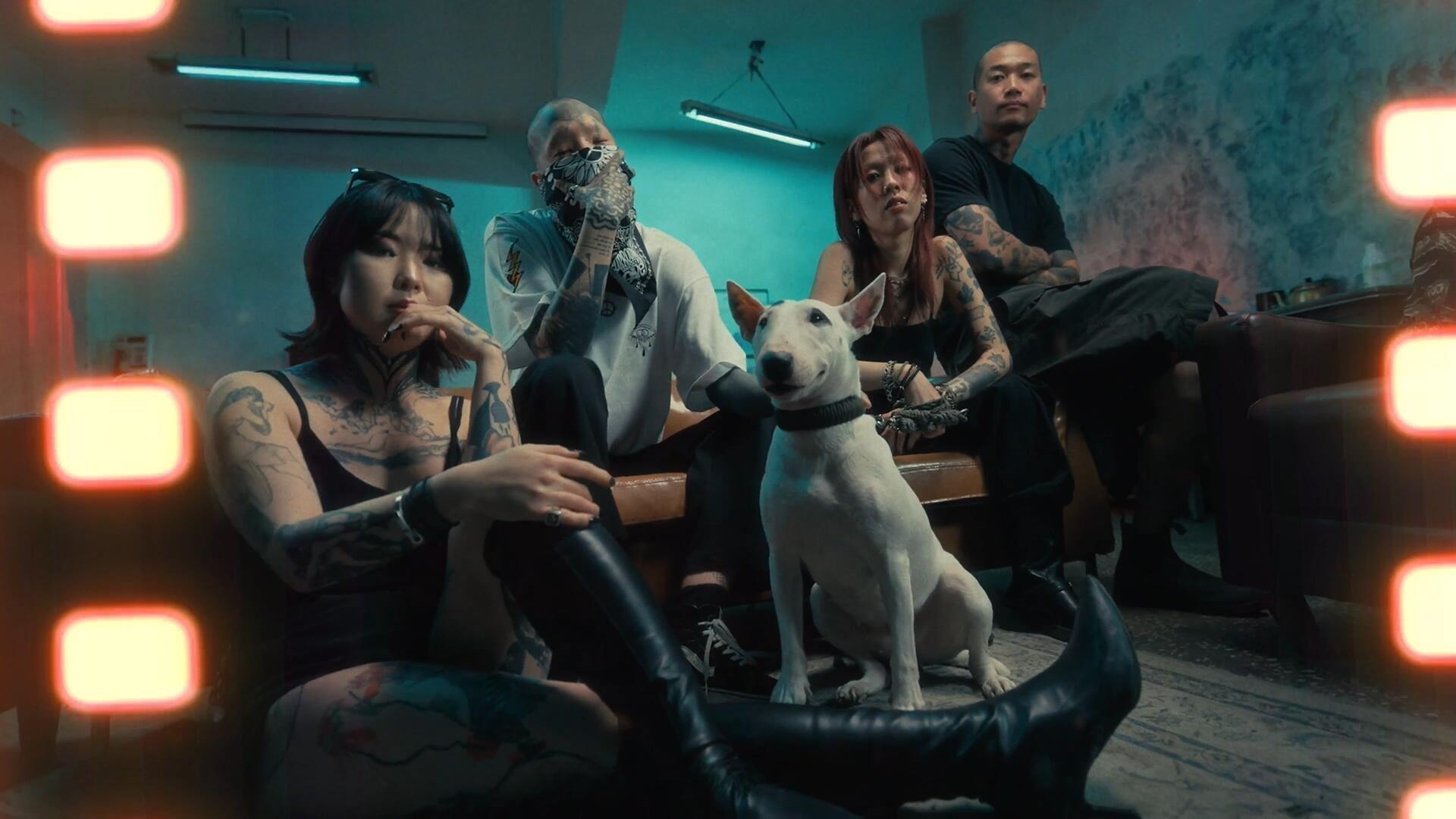 PR模板：35个复古做旧胶片放映机烧焦损坏胶片颗粒边框转场过渡（13162）