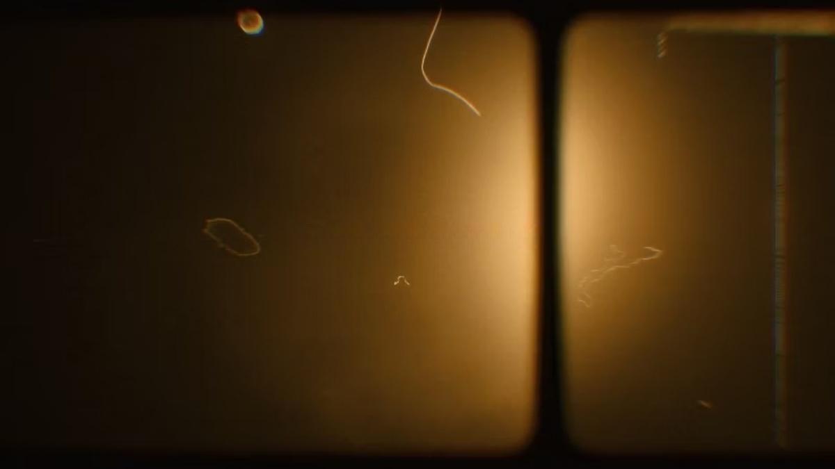 Artlist 20款复古美学邋遢旧棕褐色薄膜效果叠加纹理视频素材+音效素材 Sepia Old Sepia Vertical Film Effects（13293）