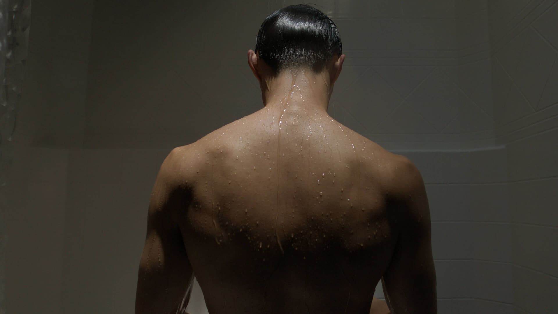 全新奈飞电影美学柯达250D胶片仿真模拟色彩外观LUT调色预设 Kodak 250D Cinematic LUTs（13460）