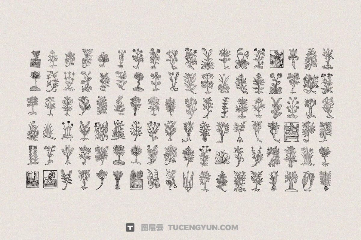 450个复古中式意境植物树枝树叶插花盆栽盆景AI矢量图形手绘插画设计套装 Herbarium Medieval Botany Collection（13346）